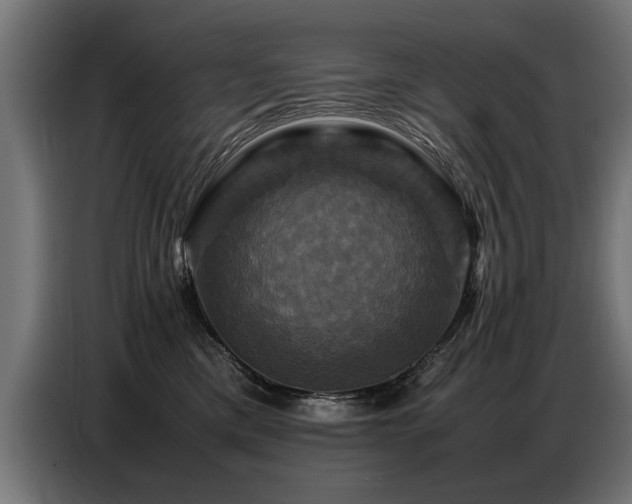 X0000087710425200705041102