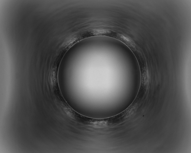 X0000087710426200705041102