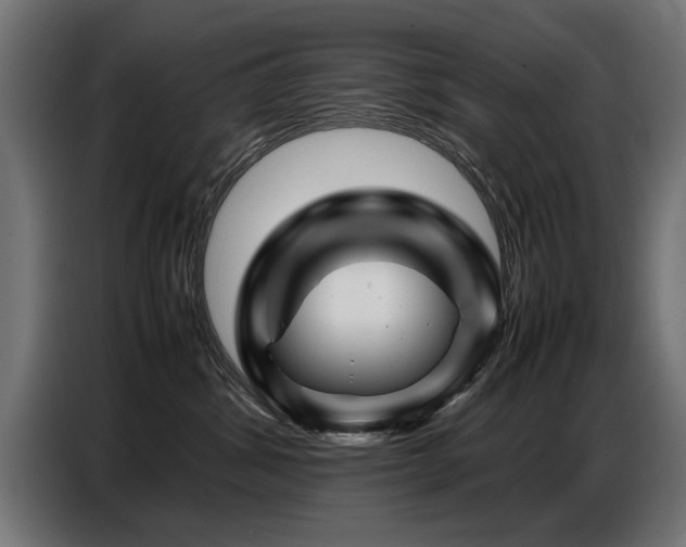 X0000087710428200705041102