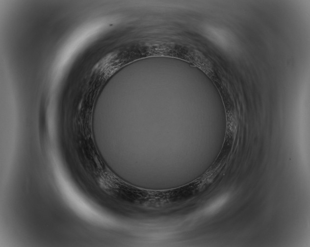 X0000087710431200705041102