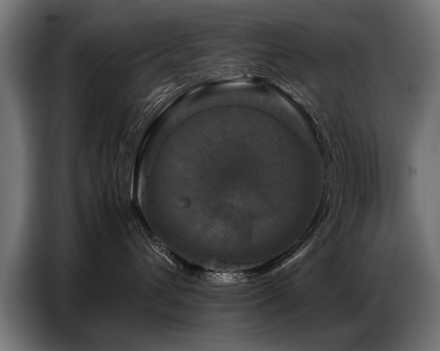X0000087710432200705041102
