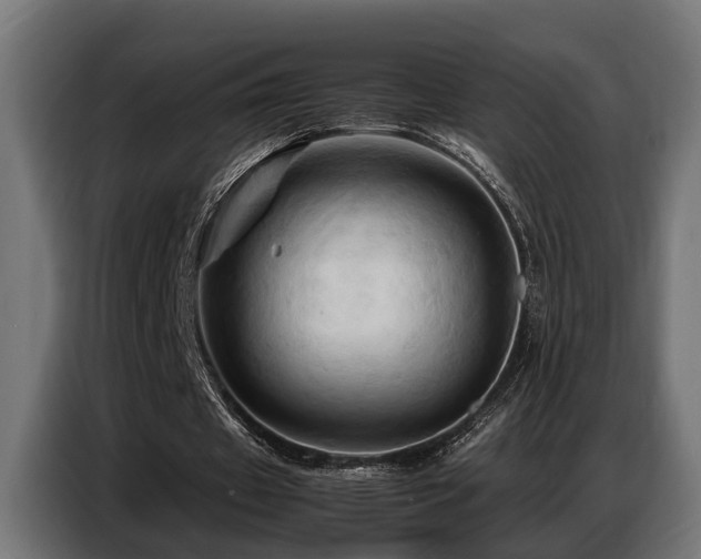 X0000087710433200705041101