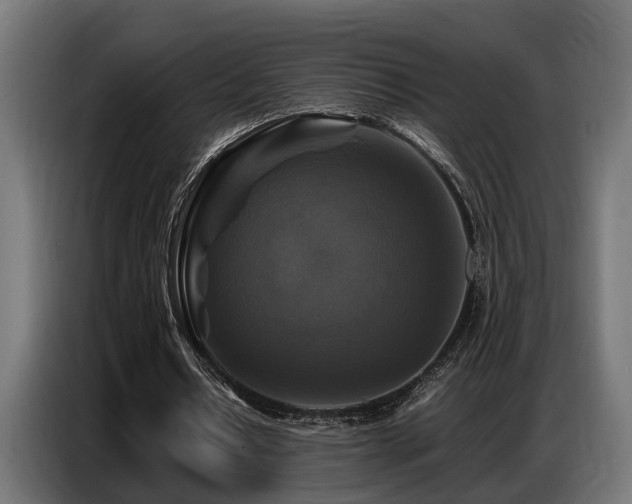 X0000087710434200705041101