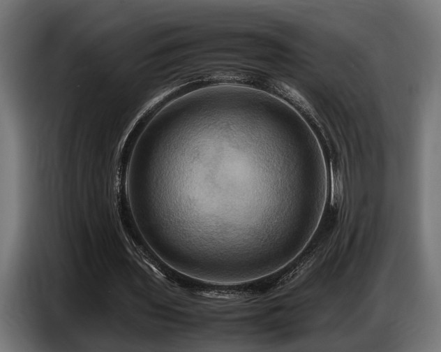 X0000087710435200705041101