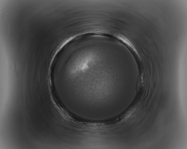 X0000087710436200705041101