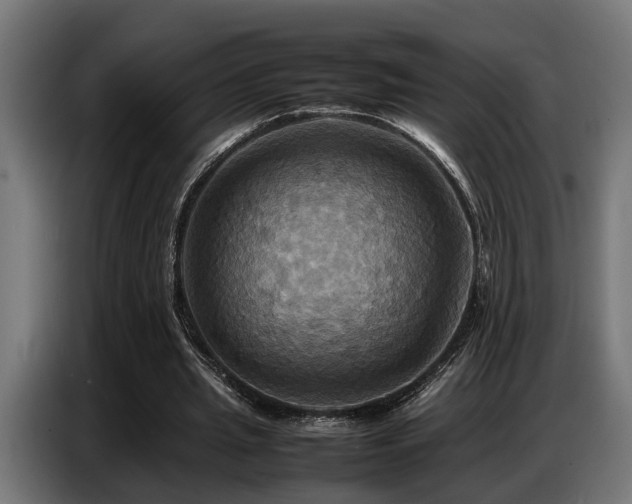 X0000087710437200705041101