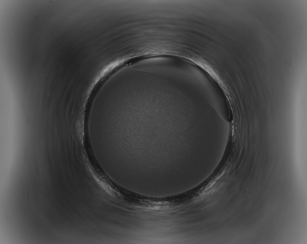 X0000087710438200705041101