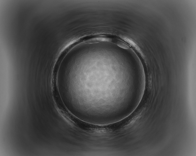 X0000087710439200705041101