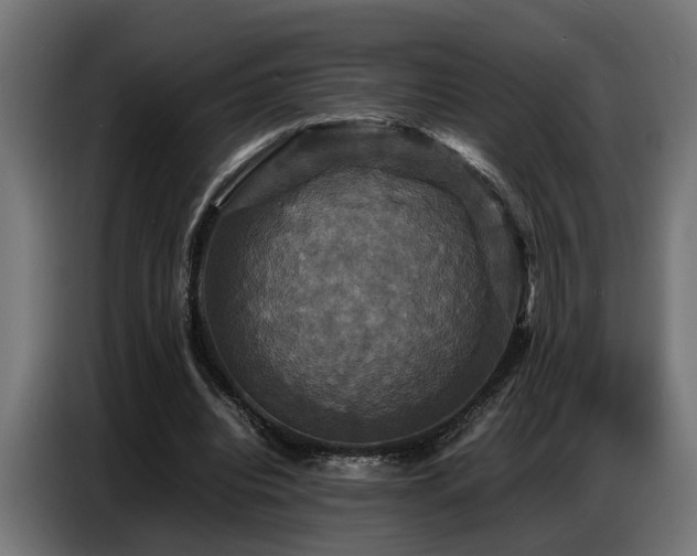 X0000087710440200705041101
