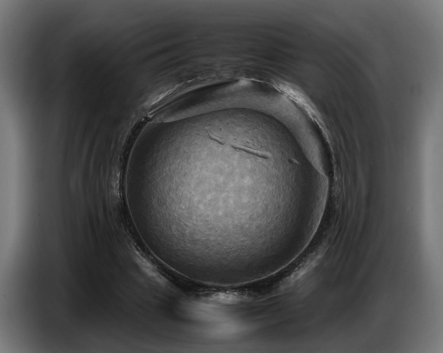 X0000087710441200705041101