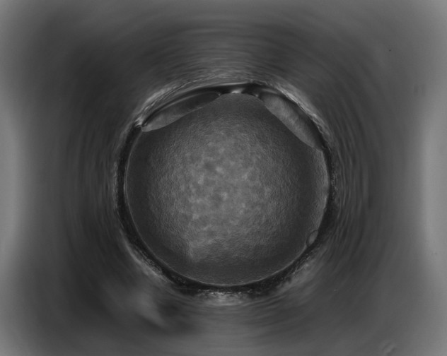 X0000087710442200705041101