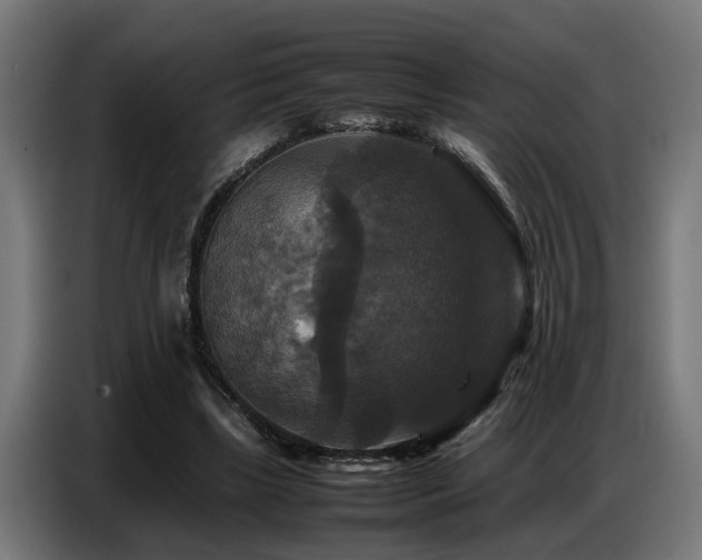 X0000087710443200705041101