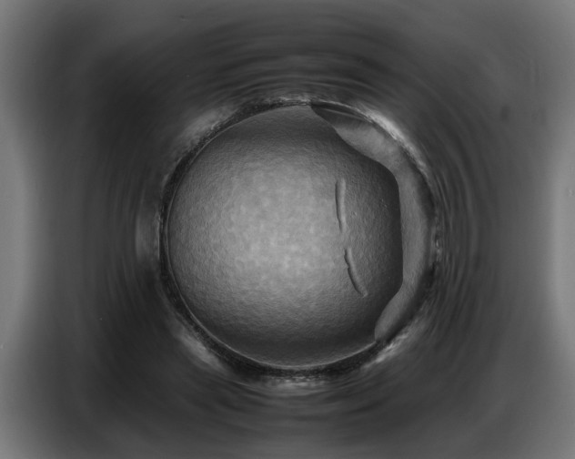 X0000087710445200705041101
