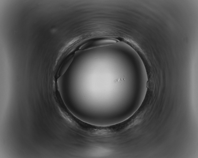 X0000087710446200705041101