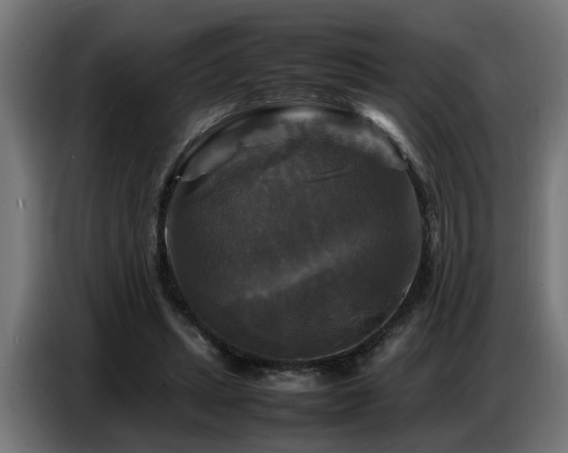 X0000087710447200705041101