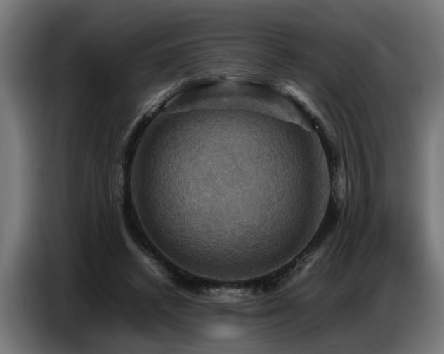 X0000087710448200705041101