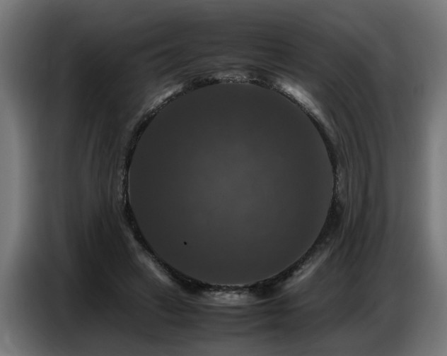 X0000087710449200705041101