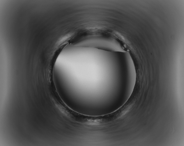 X0000087710450200705041101