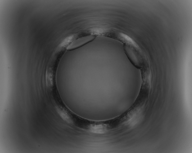 X0000087710452200705041101
