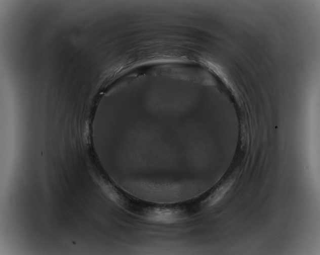 X0000087710453200705041101