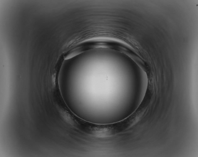 X0000087710454200705041101
