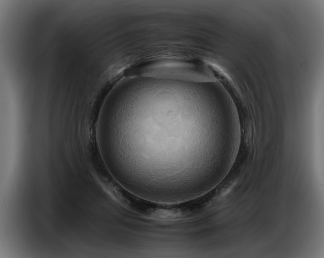X0000087710455200705041101