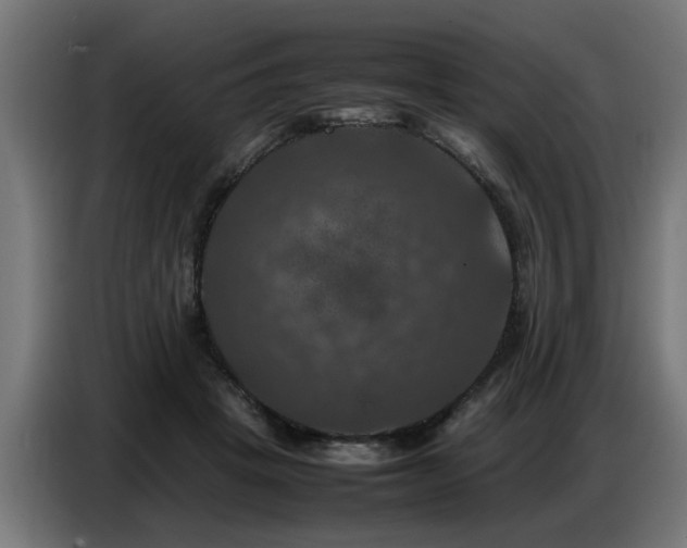 X0000087710457200705041101