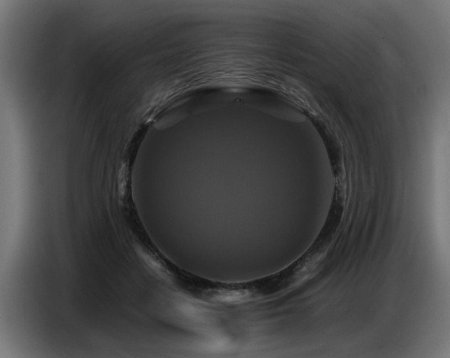 X0000087710458200705041101
