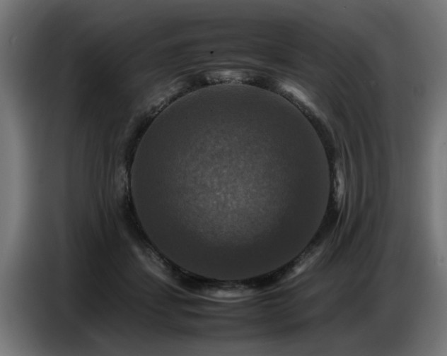 X0000087710459200705041101