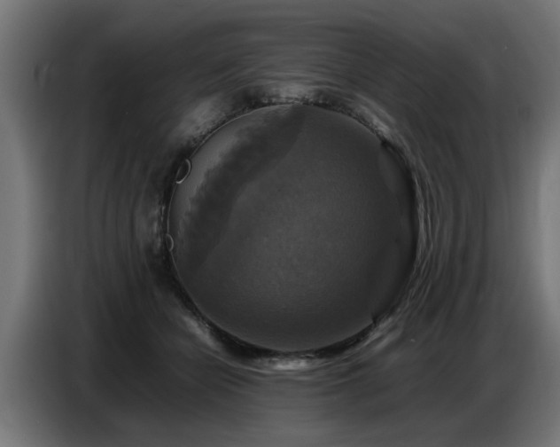 X0000087710462200705041101