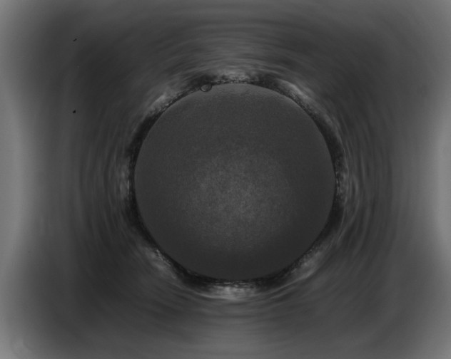 X0000087710466200705041101