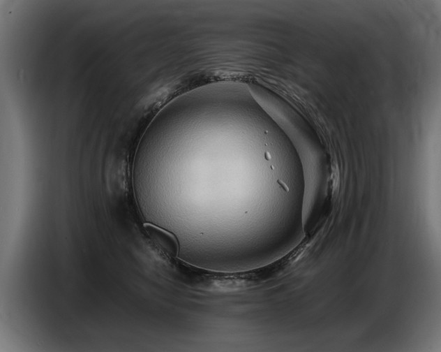 X0000087710470200705041101