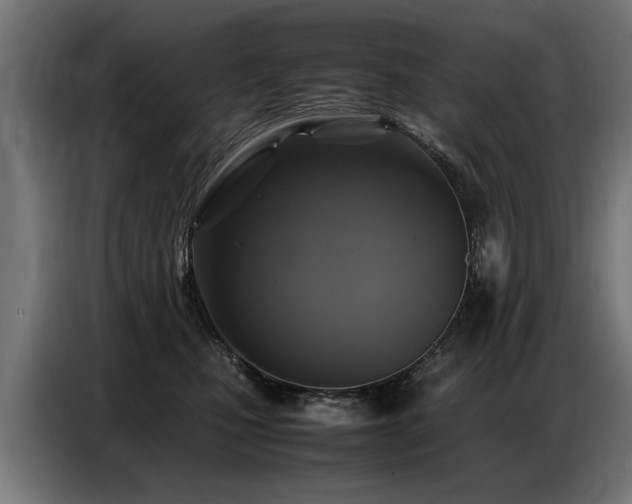X0000087710471200705041101