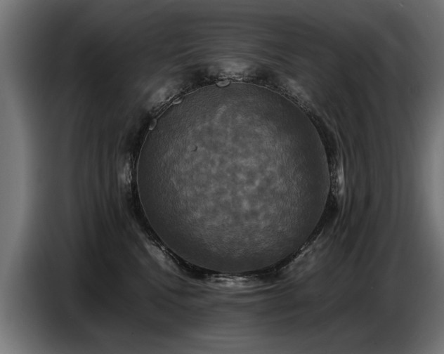X0000087710472200705041101