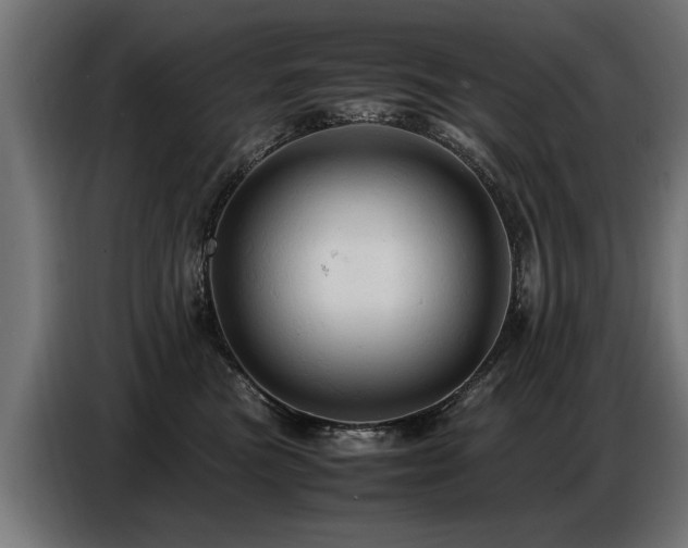 X0000087710473200705041101