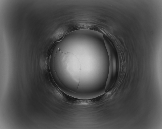 X0000087710474200705041101