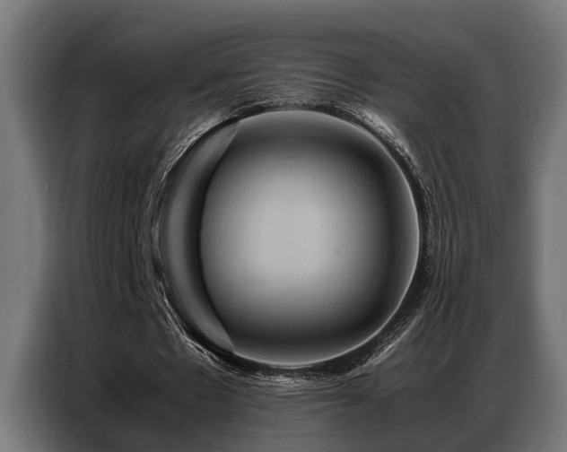 X0000087710481200705041101