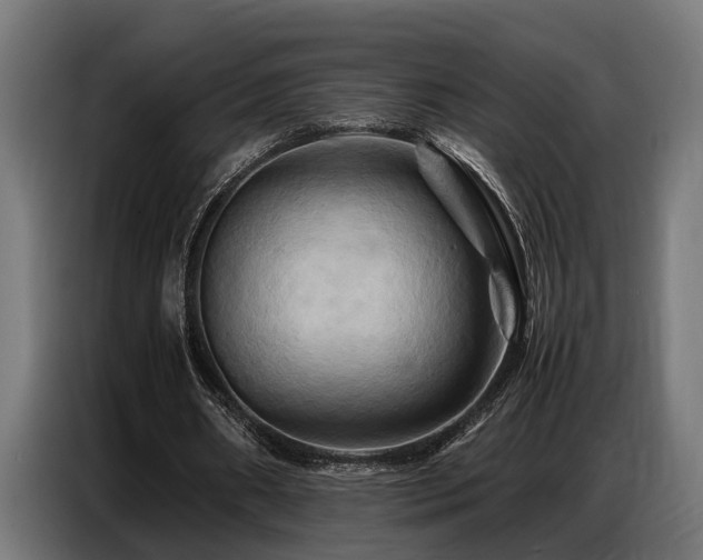 X0000087710482200705041101
