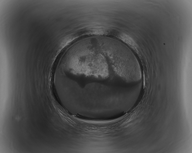 X0000087710483200705041101