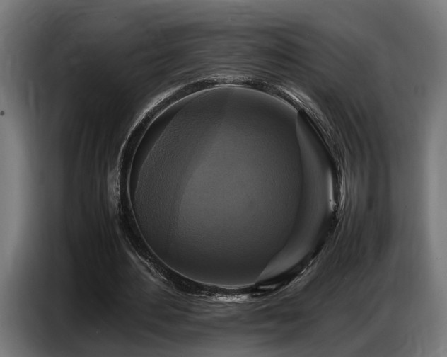 X0000087710484200705041101