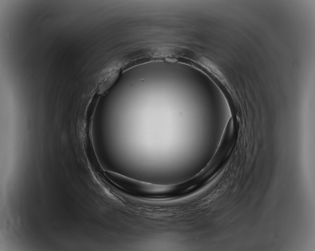X0000087710485200705041101