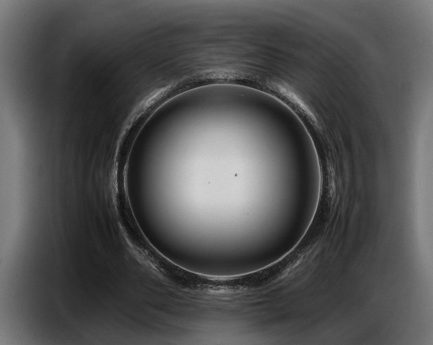 X0000087710486200705041101