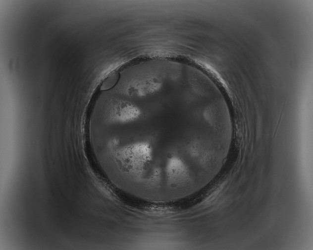 X0000087710487200705041101