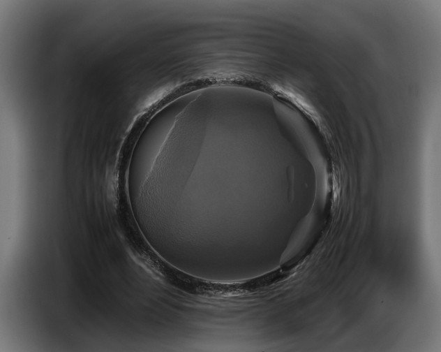 X0000087710488200705041101