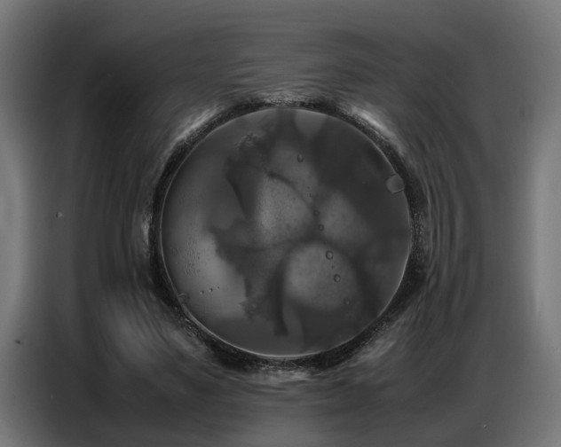 X0000087710491200705041101