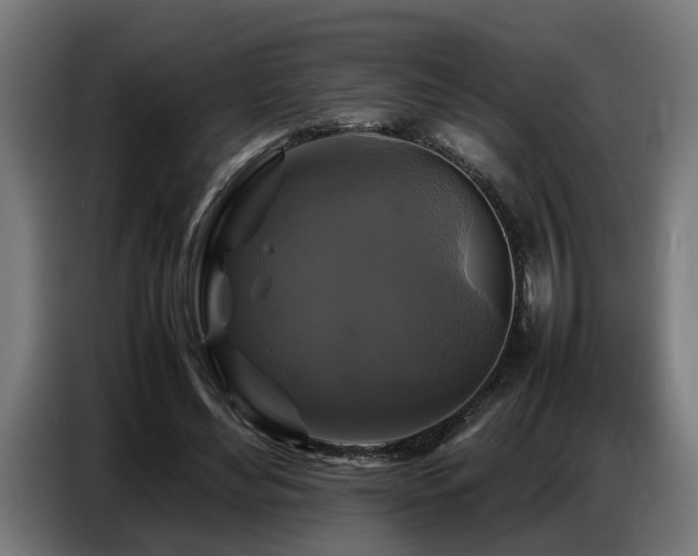 X0000087710492200705041101