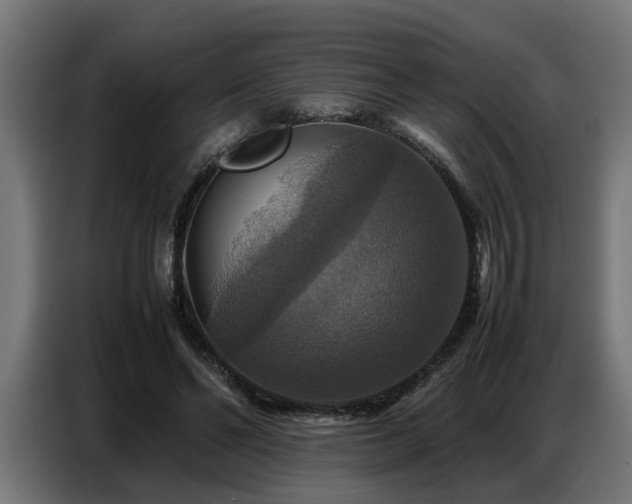 X0000087710494200705041101
