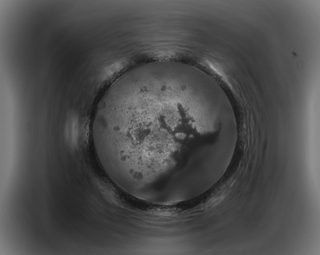 X0000087710495200705041101