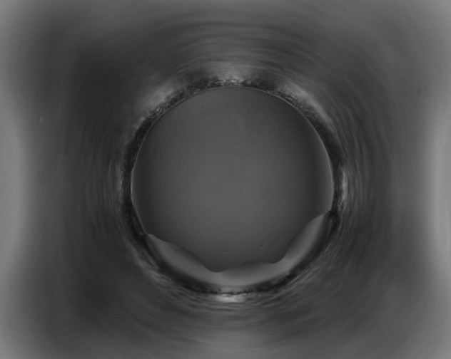 X0000087710496200705041101