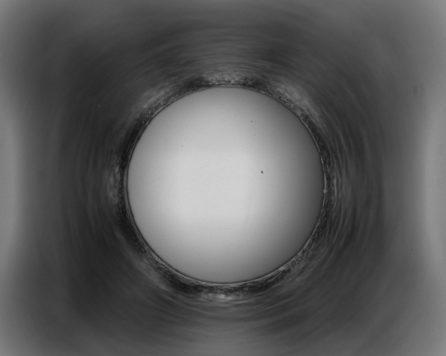 X0000087710498200705041101